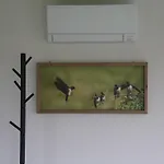 De Zwaluw 木屋 海洛