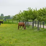 De Zwaluw